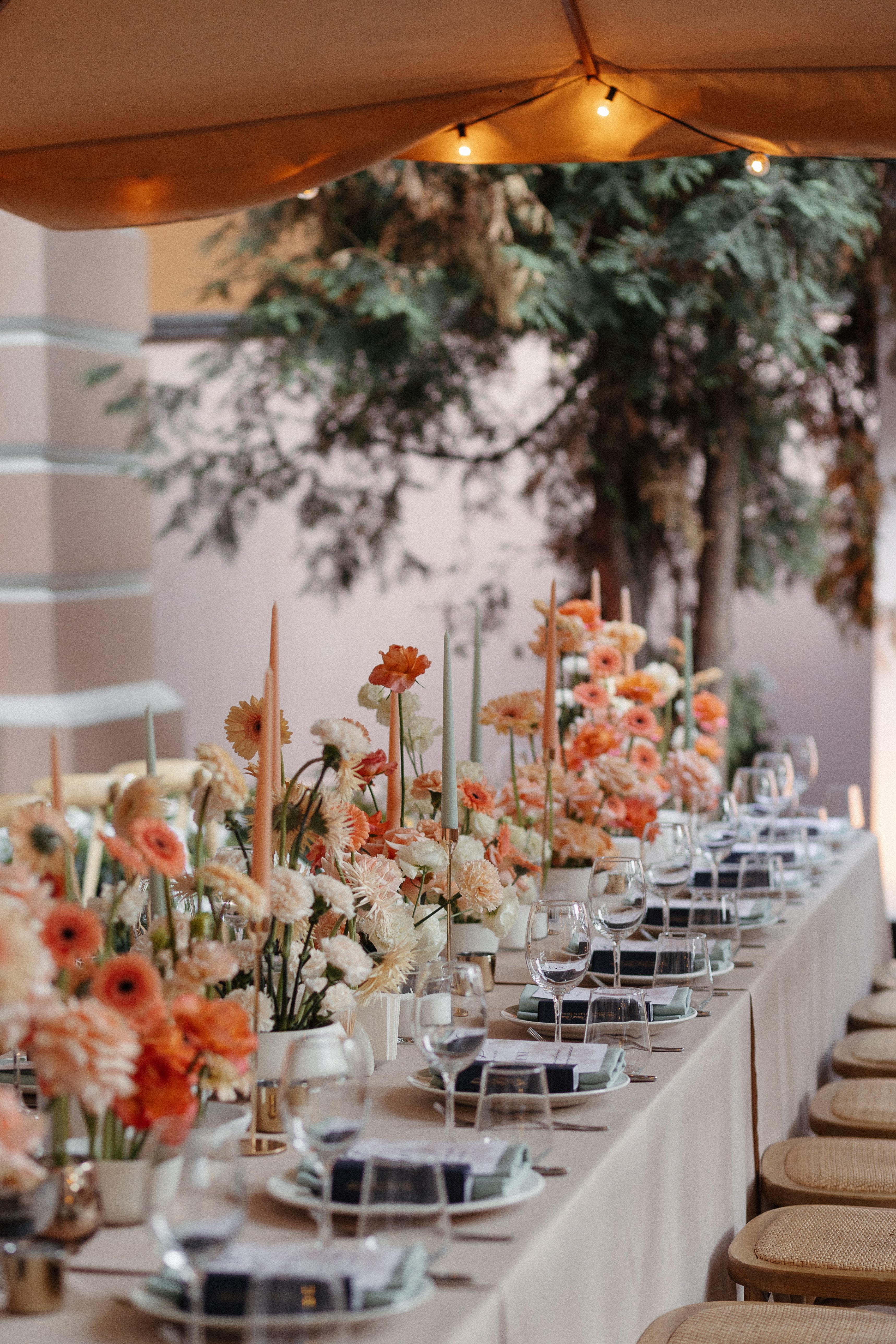 Deterra wedding 7