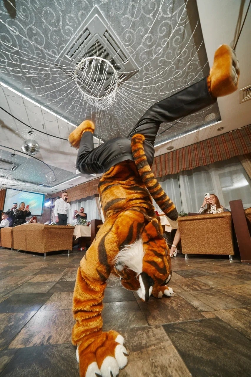 Funny Dance Project 32