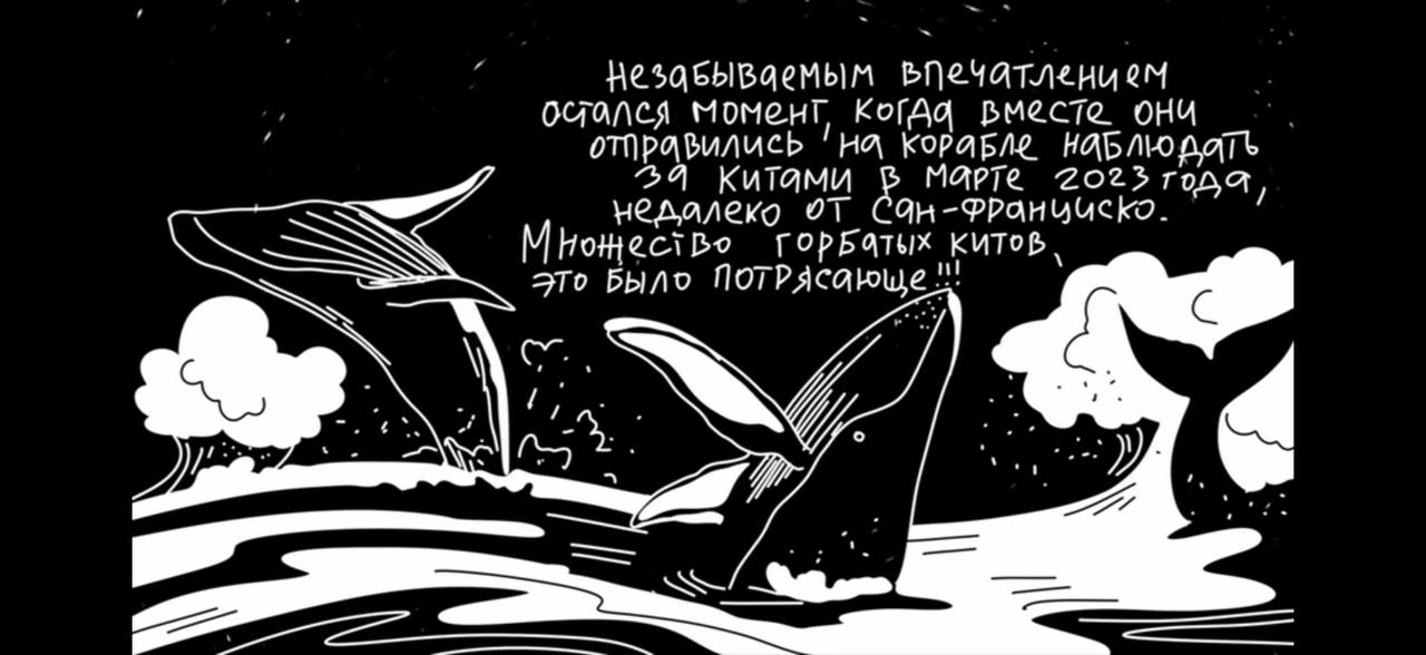 Мультфильмы с индивидуальным сюжетом 12