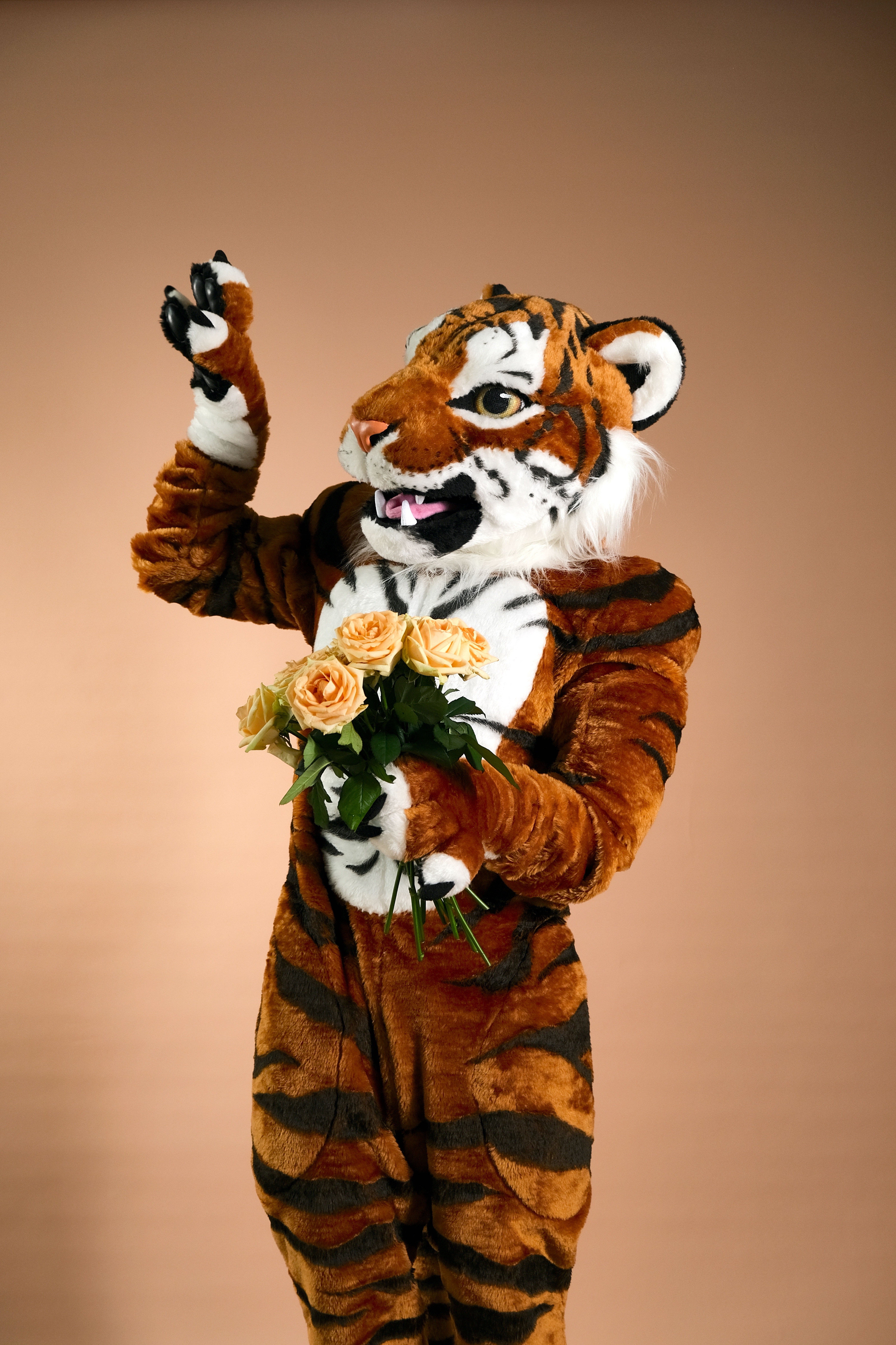 Funny Dance Project 29