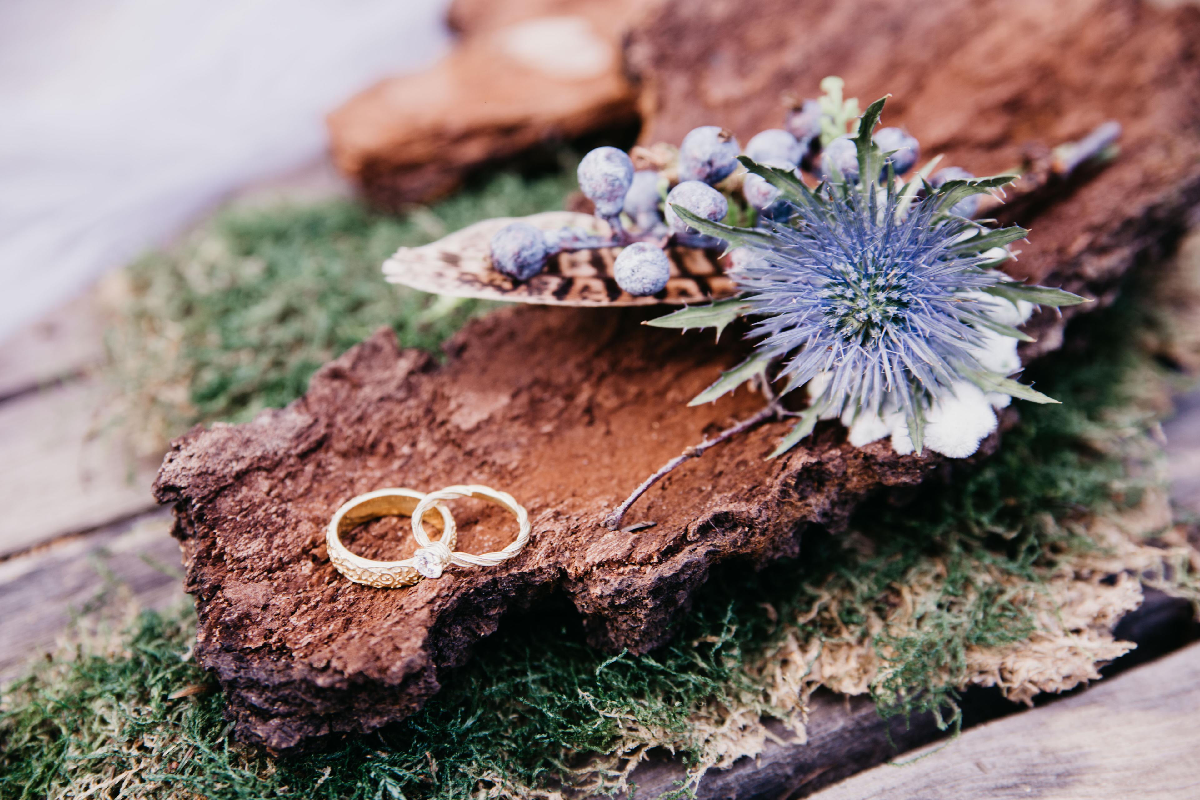 Роман и Дарья