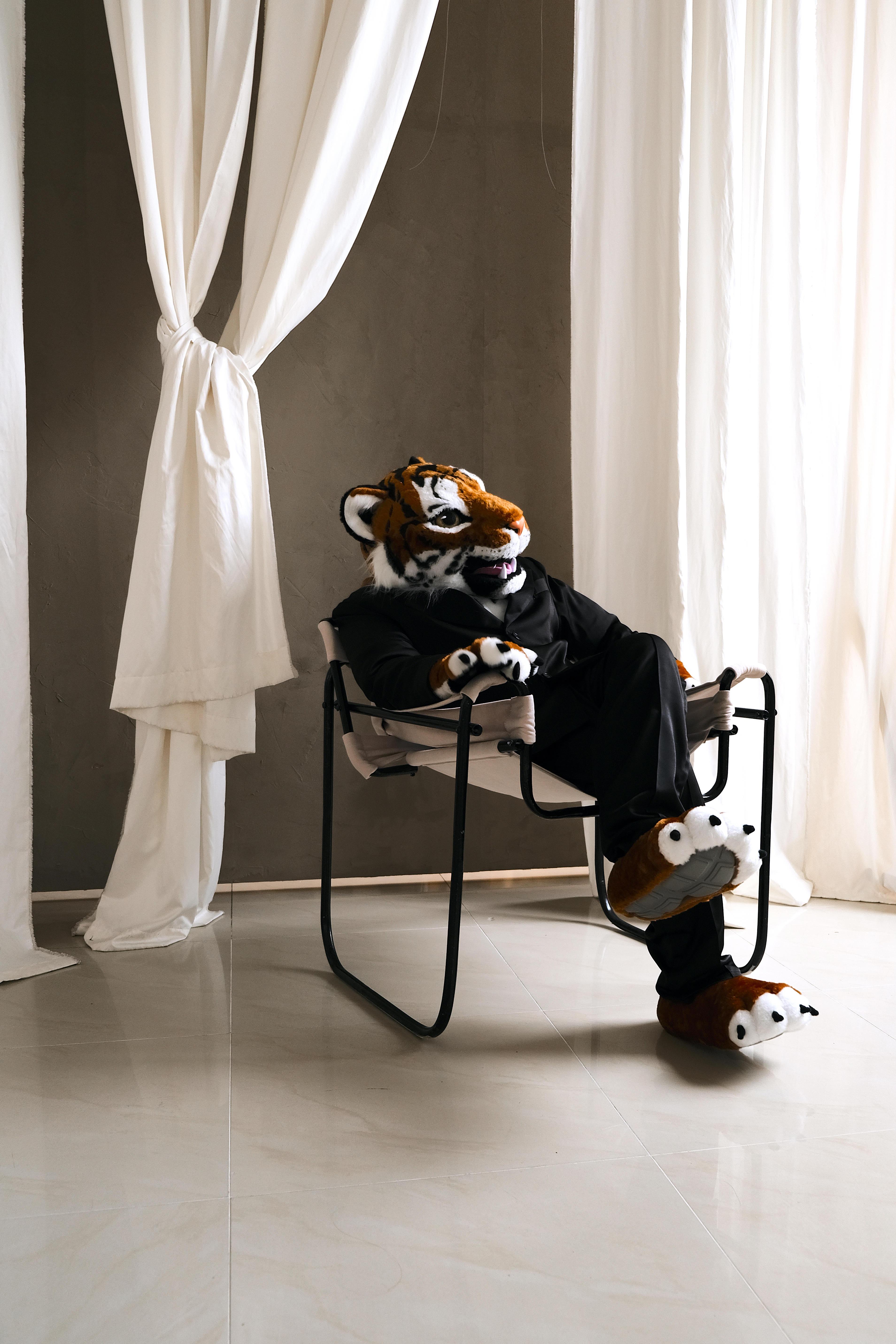 Ростовой Тигр