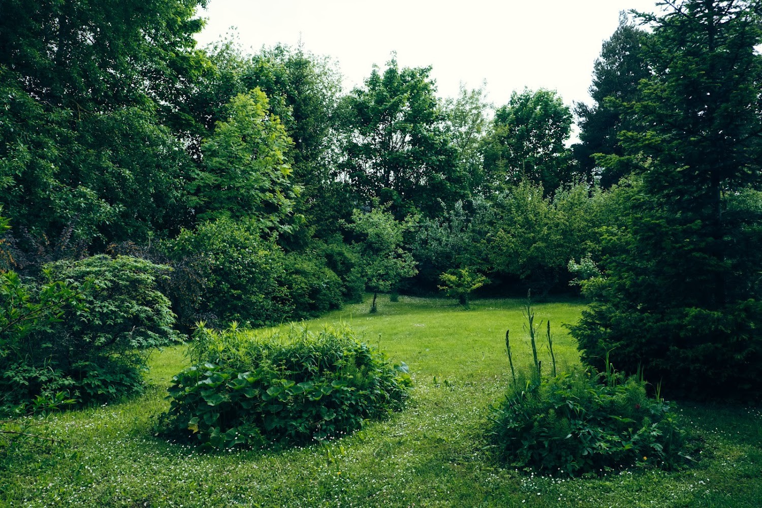 32a03d35-d927-4b27-a203-774863e49d9e.jpeg