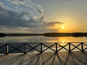 a29741b2-f9d5-4822-8c19-4adadd24ed6f.jpeg