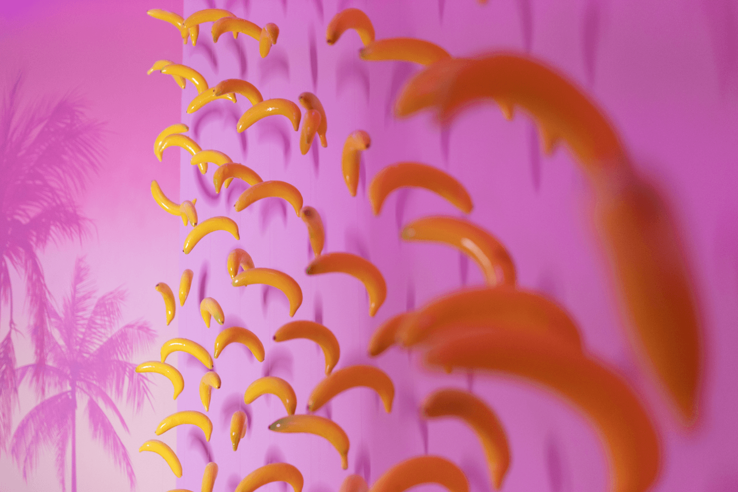 a7822e8a-24e5-4e19-8df0-a18d995ea308.jpeg