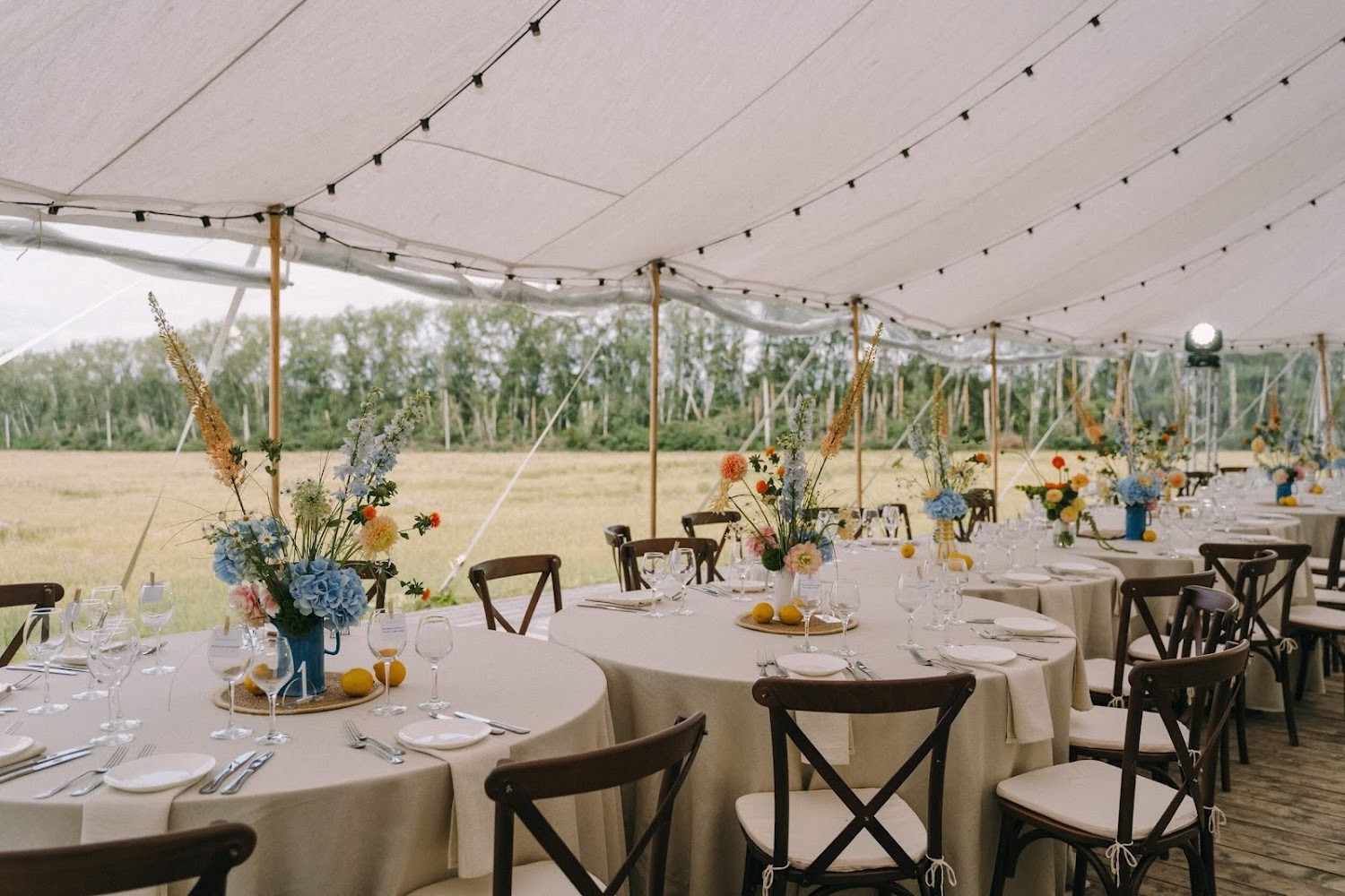 Дверь в лес